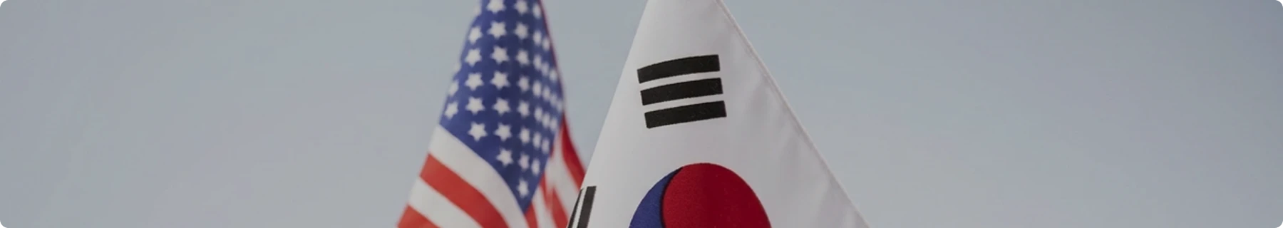 정책자료 비주얼